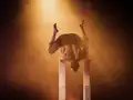 Florian Zumkehr: WILT and Shine