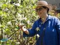 Gartenmarkt und Frühlingsfest "Späth'er Frühling"