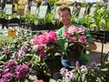 Gartenmarkt und Frühlingsfest "Späth'er Frühling"