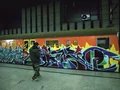 Wholetrain