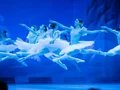 Der Nussknacker - Grand Classic Ballet Der Nussknacker - Grand Classic Ballet