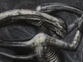 HR Giger, Necronom IV, Detail, 1976, Acryl auf Papier auf Holz