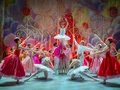 Der Nussknacker - Grand Classic Ballet Der Nussknacker - Grand Classic Ballet