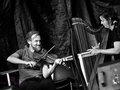 Veranstaltungen in Berlin: 8. Irish Festival Berlin: May the harp be with you