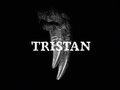 KEY VISUAL Tristan