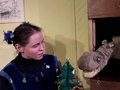 Szene aus Frau Schaum und ein Dinosaurier unterm Weihnachtsbaum