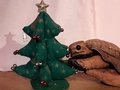 Szene aus Frau Schaum und ein Dinosaurier unterm Weihnachtsbaum