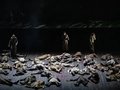 Lohengrin