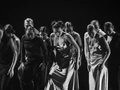 DART Dance Company: SHADE 22