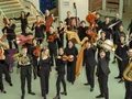 Stipendiat:innen der Karajan-Akademie