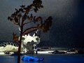 Eine Szenenimpression aus dem ersten Aufzug von Die Zauberflöte