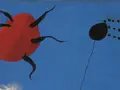 Veranstaltungen in Berlin: Von Max Ernst bis Dorothea Tanning. Netzwerke des Surrealismus | Provenienzen der Sammlung Ulla und Heiner Pietzsch