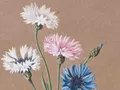 Caroline Friederike Friedrich, zugeschrieben, Blumen, Detail, um 1800-1815, Aquarell- und Deckfarben auf braunem Papier Foto: Christoph Müller Stiftung / Kilian Beutel