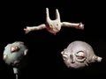 What Humanity Taught Us