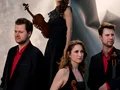 Armida Quartett