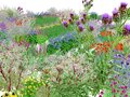 Digitales Rendering von Pollinator Pathmaker LAS Edition, 2023
