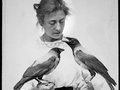 Veranstaltungen in Berlin: Die Vogel-WG.