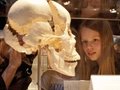Veranstaltungen in Berlin: KÖRPERWELTEN Museum Berlin