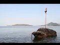 VISUAL FOOD & FOOTAGE: In the Sun Life