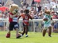 RENNTAG DES SPORTS
