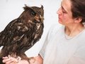 Veranstaltungen in Berlin: Die Vogel-WG.