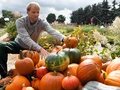 Traditionsfest mit Herbstblütenpracht, Live-Musik und Kinderprogramm