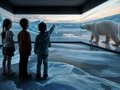 Polar Experience