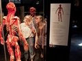 KÖRPERWELTEN Museum Berlin