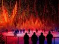 DARK-MATTER-Forest-Winterlights25