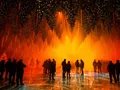 DARK-MATTER-Forest-Winterlights25