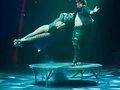 Zirkus des Horrors