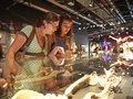 Veranstaltungen in Berlin: KÖRPERWELTEN Museum Berlin