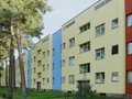 Waldsiedlung Zehlendorf, Argentinische Allee