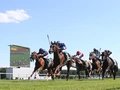 FASHION RACEDAY