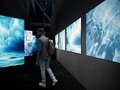 Polar Experience
