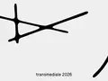transmediale 2026, key visual