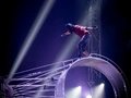 Zirkus des Horrors