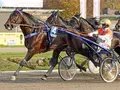 Der 14-malige Deutsche Meister Michael Nimczyk mit Hengst Aladin