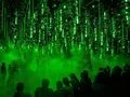 DARK-MATTER-Forest-Winterlights25