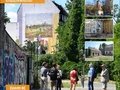 Führung: Der Böhmische Gottesacker - Banner
