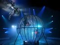 Zirkus des Horrors
