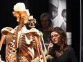 KÖRPERWELTEN Museum Berlin