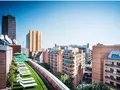 Rooftop