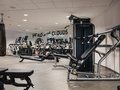 Gym & Fitness