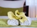 Hotels in Berlin | Hotel LebensQuelle