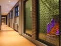 Hotels in Berlin | Amstel House Hostel