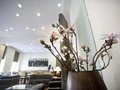 Hotels in Berlin | Quentin Design Berlin Hotel