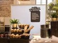 Hotels in Berlin | Hotel Oderberger Berlin