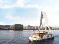 Molecule Man Berlin - Kormoran