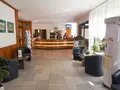 Halle und Rezeption